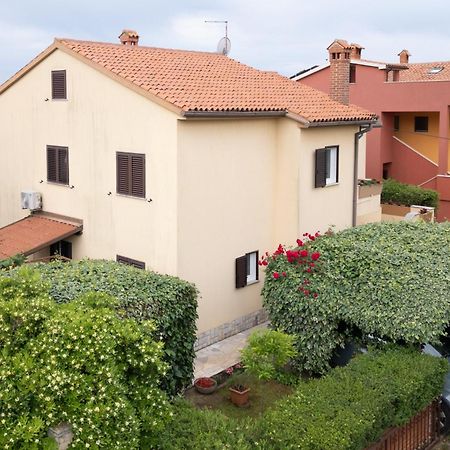 Apartments Mirella Novigrad Istria Eksteriør billede