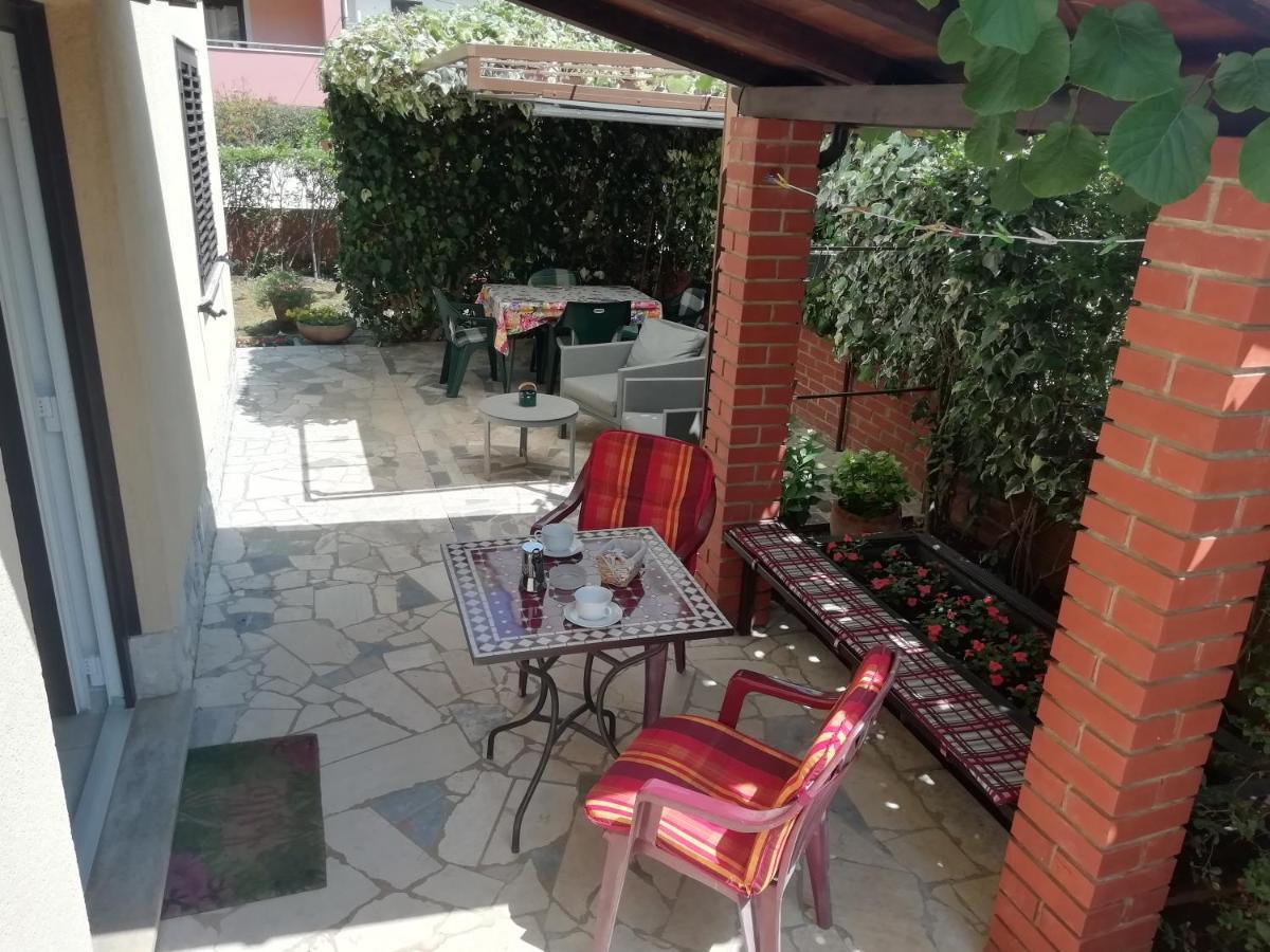 Apartments Mirella Novigrad Istria Eksteriør billede