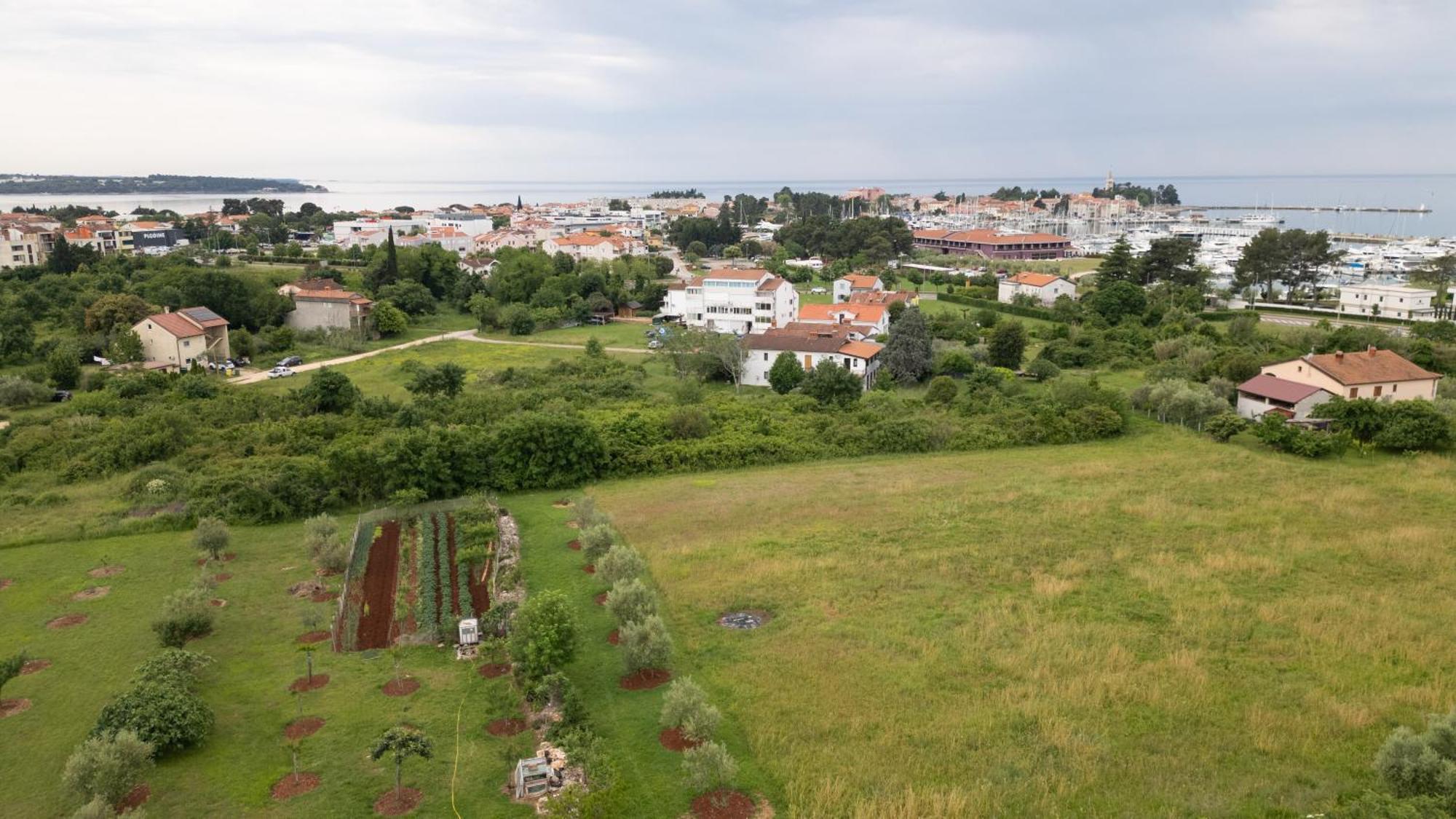 Apartments Mirella Novigrad Istria Eksteriør billede